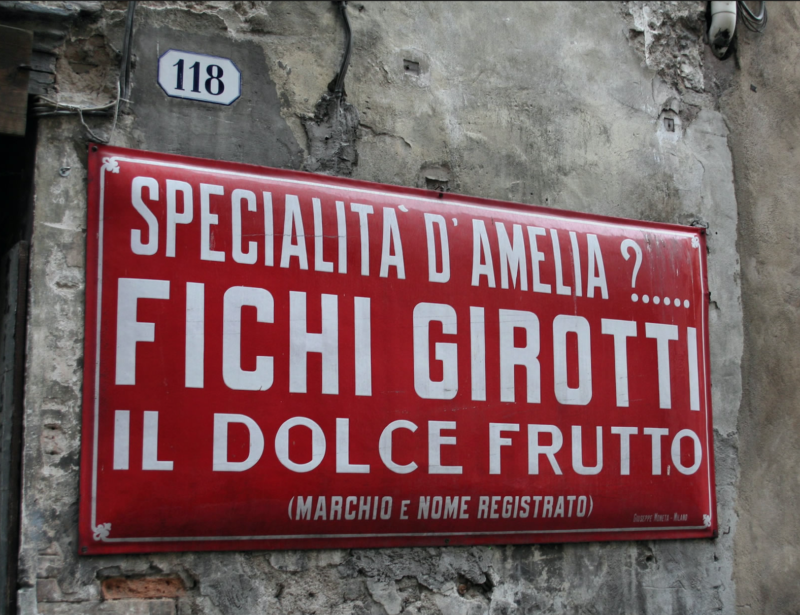 fichi girotti