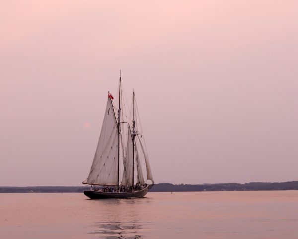 champagne sostenibilità barca a vela