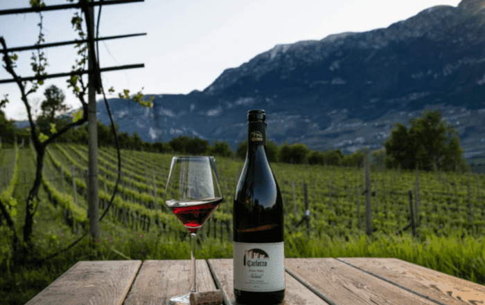 Ferruccio Carlotto vini alto adige Pinot Nero