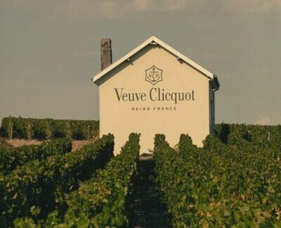 Maison Clicquot e vigneti